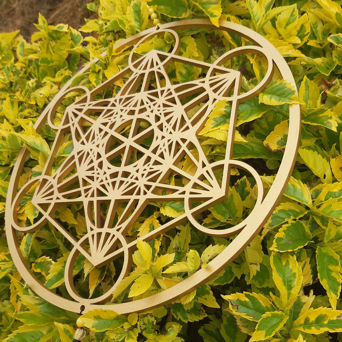 Geometría Sagrada: la naturaleza tiene su propio lenguaje para crear vida